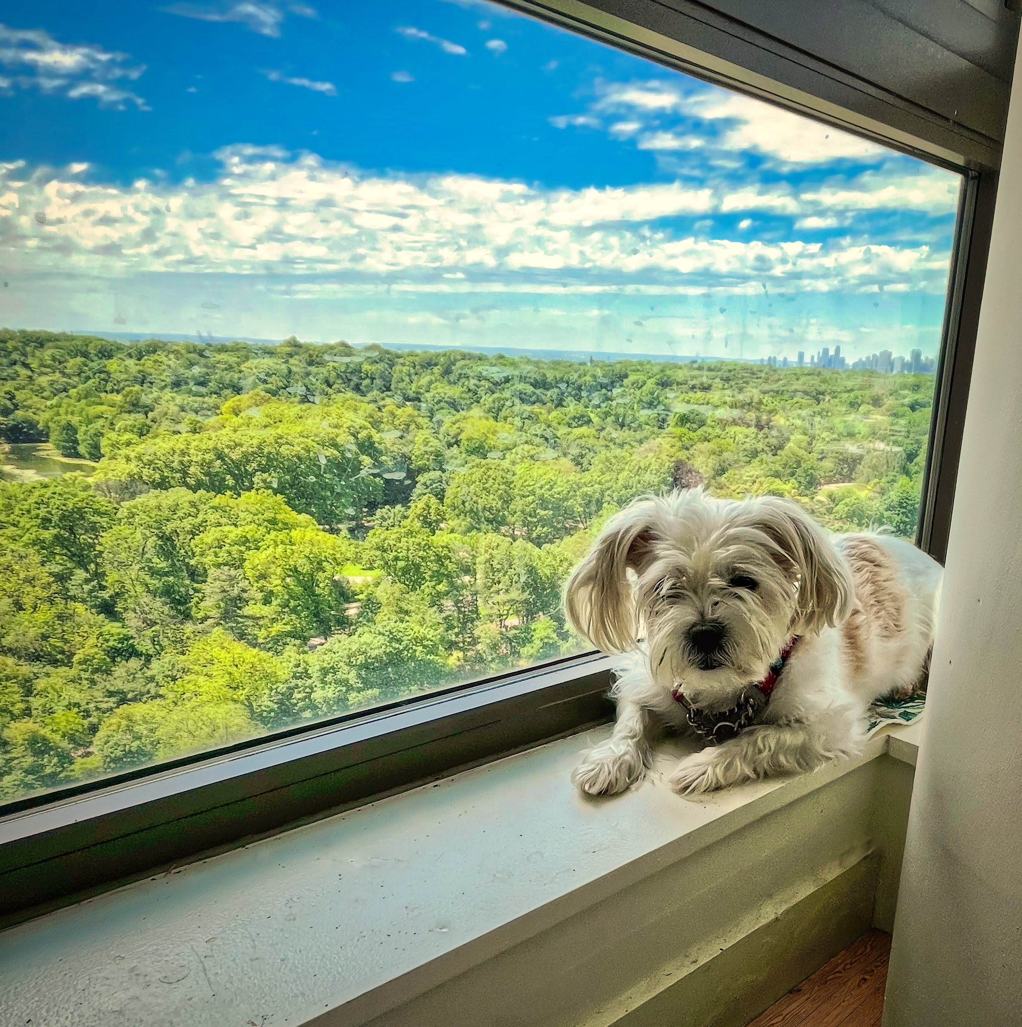 Window Lounge